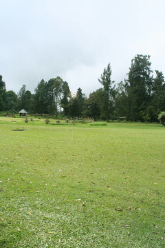 公園