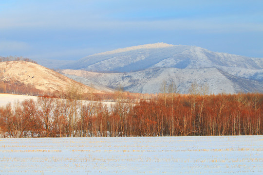 雪野山林雪景