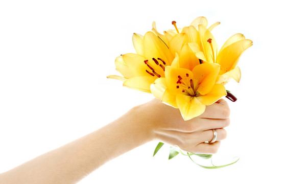 女的手拿著黃色的madonna lily bouquet