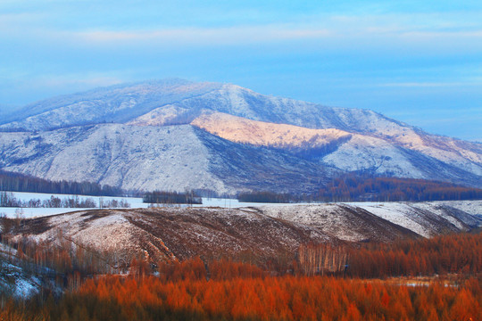 雪野山林風(fēng)光