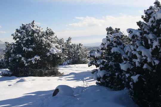雪景