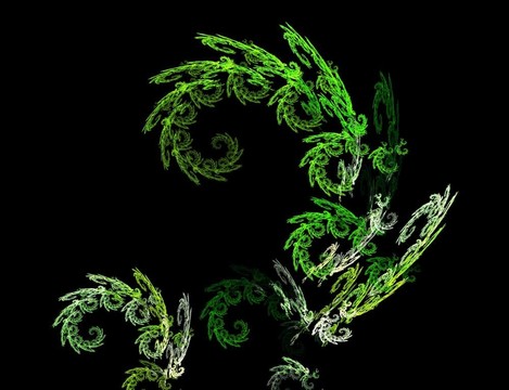 分形的綠色植物