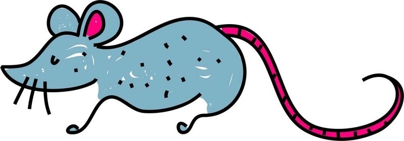 鼠標(biāo)