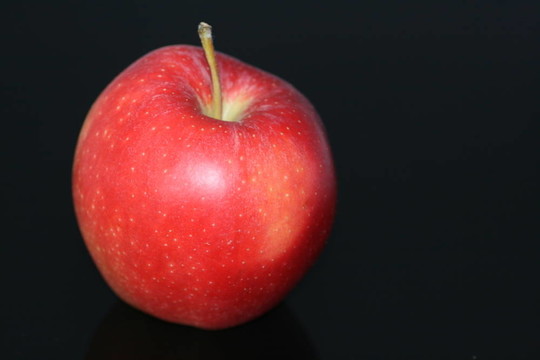 蘋果前視圖