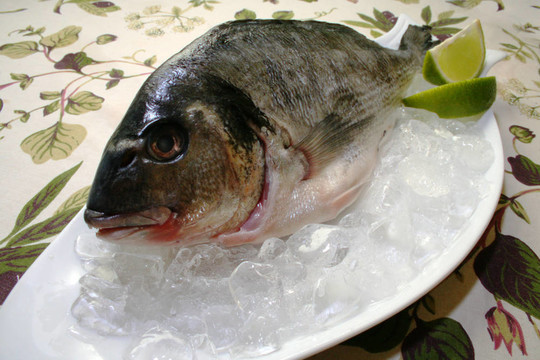 新鮮的魚(yú)