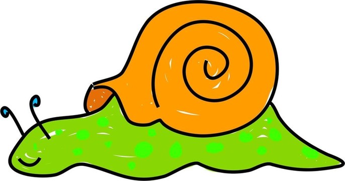 蝸牛