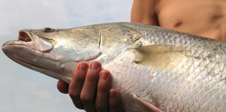 大魚釣到的魚！