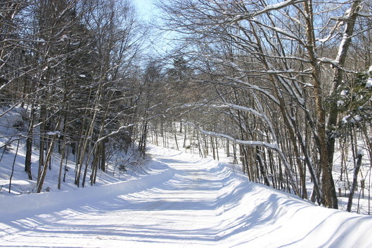 冬天的路