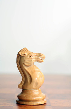 國際象棋的白衣騎士