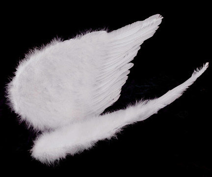 黑人孤立White Angel Wings