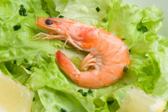 蝦仁沙拉