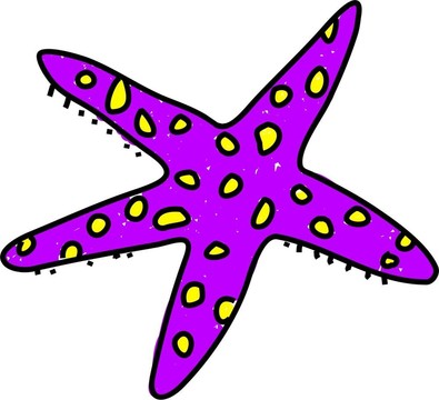 海星