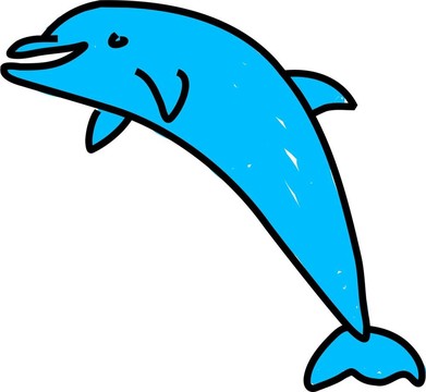 海豚