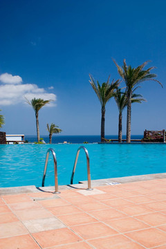 pooltree1