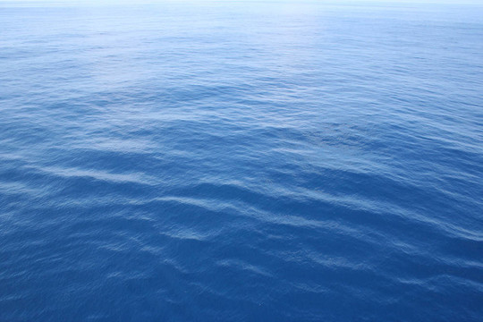 海洋的水