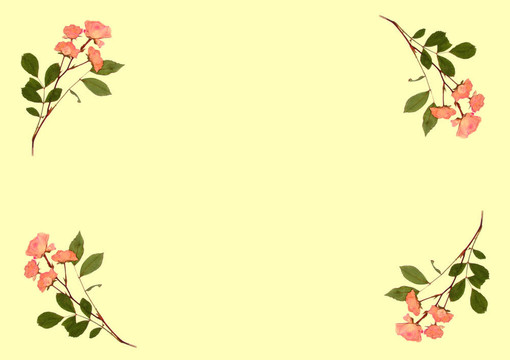 按Pink Roses