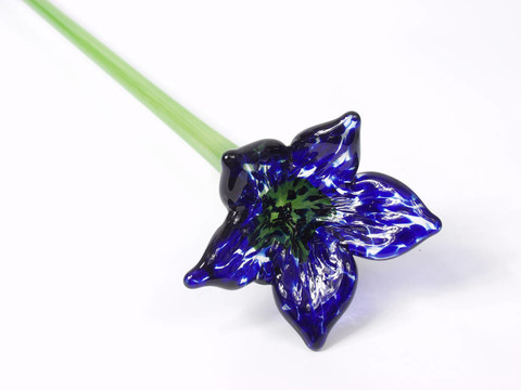 藍色的花