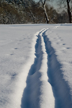 滑雪道
