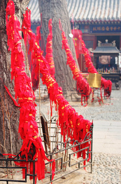 在青島的中國(guó)新年慶?；顒?dòng)；中國(guó)。