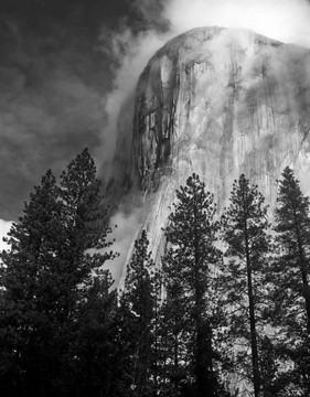 mn0562elcapitanfog1b