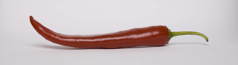 紅辣椒