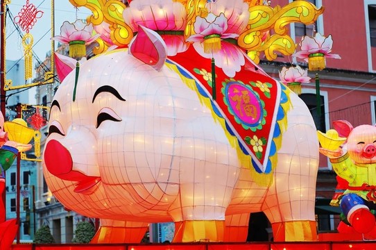 豬之年；中國生肖
