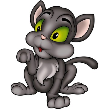黑色的小貓
