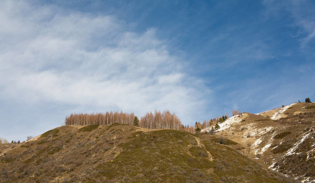 山