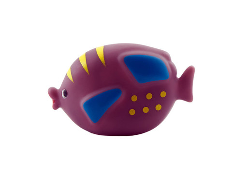 紫色的魚