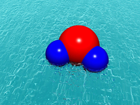 水分子