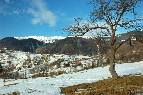山和樹