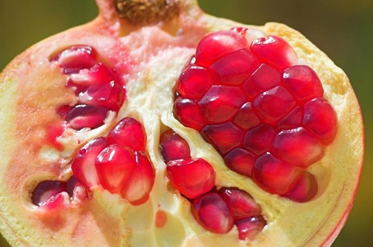 一個(gè)開(kāi)放的石榴