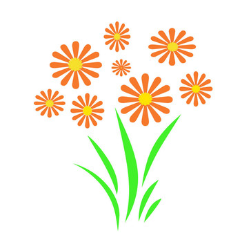 橙色的花