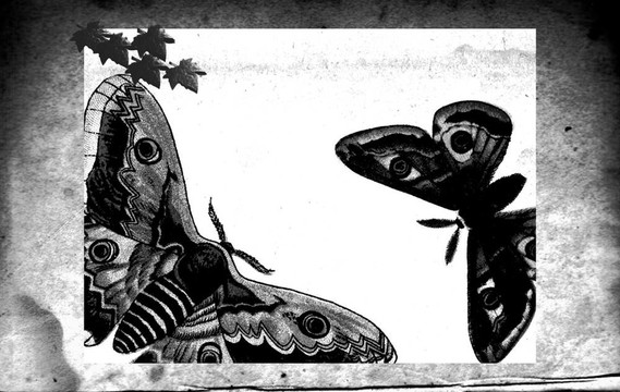 維多利亞寫作ST