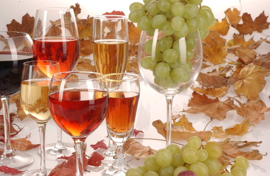 wine_grape002