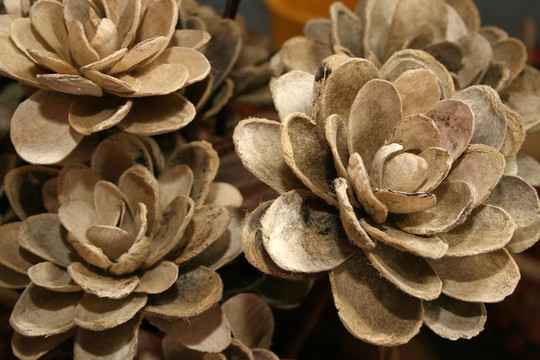 手工制作的花朵