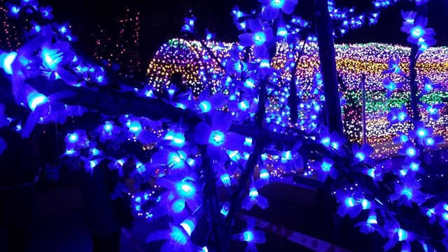 自貢燈會(huì)