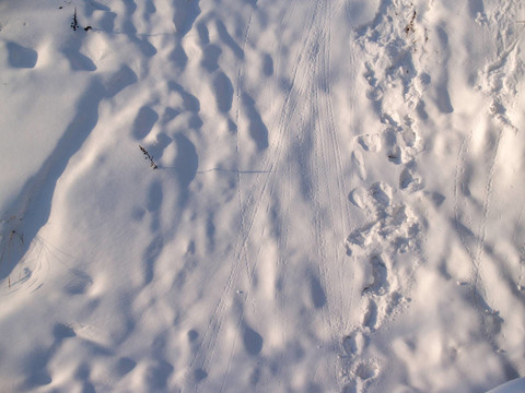 晚上，雪和trackes