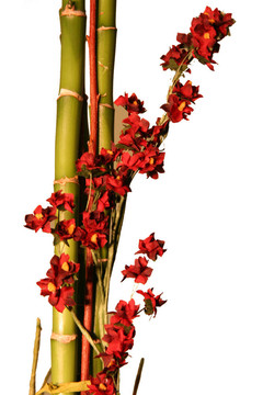 花竹