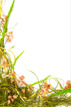 復活節(jié)花卉安排