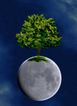 星樹
