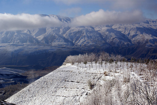雪；Alamut；安裝；巖石；城堡；冬季；山