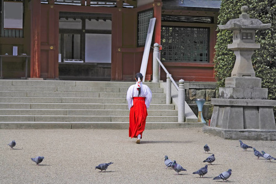 在寺廟的女孩