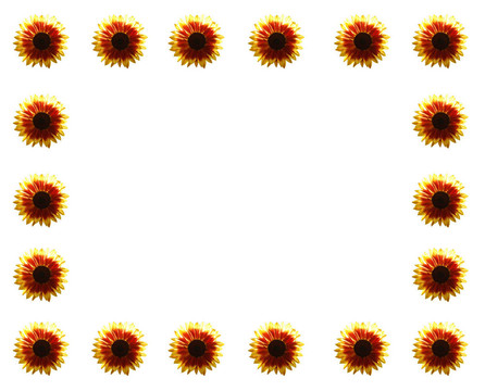 sunflowercard