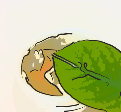 洗面奶
