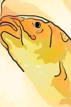 魚