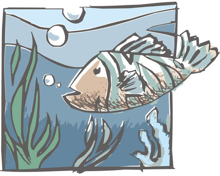 魚(yú)