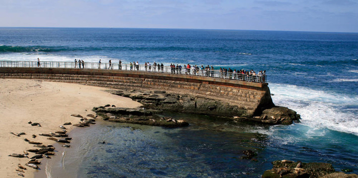 分株苗的季節(jié)