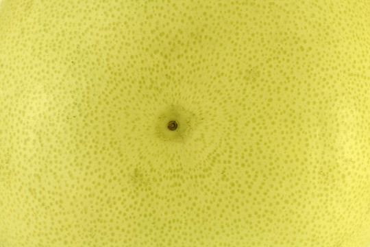Pomelo（柚子）背景