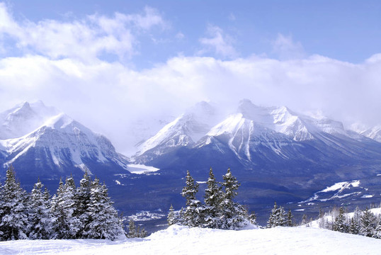 山
